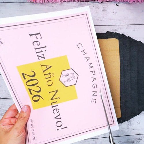 champagne pinata tutorial (5)