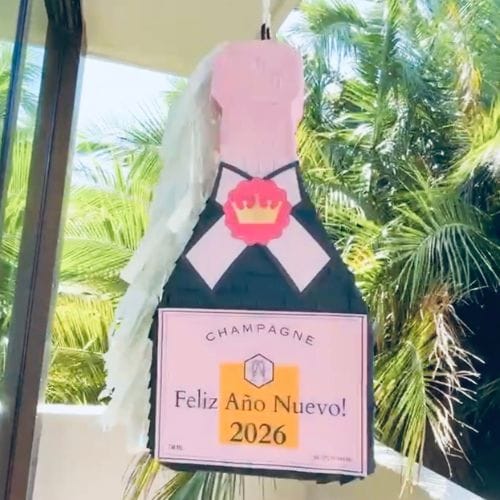 champagne bottle pinata (10)