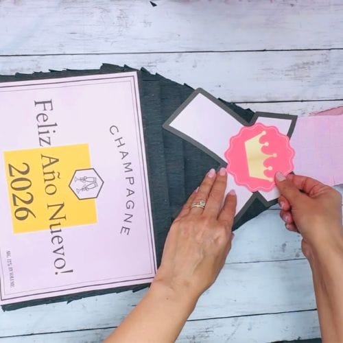 champagne bottle pinata (12)