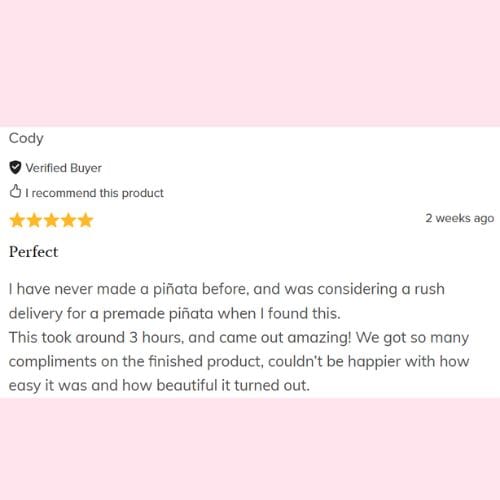 champagne bottle pinata (14)