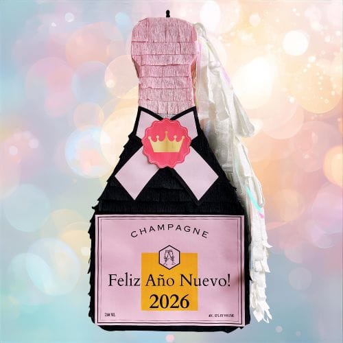 champagne bottle pinata (2)