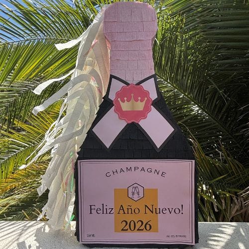 champagne bottle pinata (7)